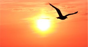 INDIVIDUALIZAREA Foto: Dan MIHĂESCU