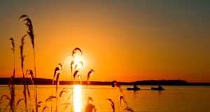 Balta Elizaveta78 de la Pixabay