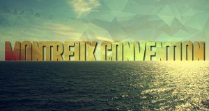 Poziţia Inspectoratului General al Marinei faţă de Convenţia de la Montreaux 1936 Ilustraţie generală