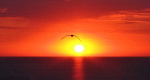 NECUVINTELE Răsărit la Marea Neagră Foto: Dan MIHĂESCU