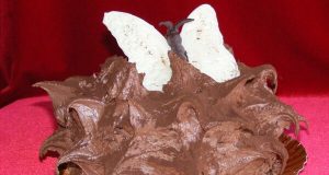 Tortul Arici – cosmogonie pe marginea unui desert savuros