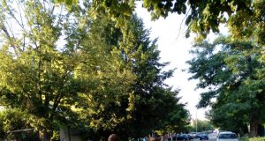 Popescu la Constanţa Foto: Aurel Fleischmann