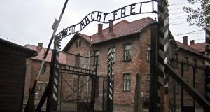 “Legea privind unele măsuri pentru studierea istoriei evreilor şi a Holocaustului”, adoptată de urgenţă la Camera Deputaţilor, pune carul dinaintea boilor