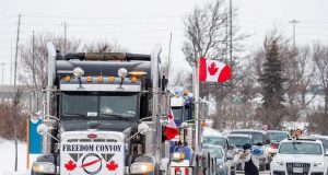 Pandemia Libertăţii sub semnul frunzei de arţar Marşul Libertăţii a cuprins toată Canada Sursa The Toronto Sun
