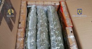 11 kilograme de cannabis din Spania capturate la Feteşti