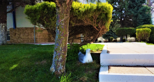 Cine s-a mai cuibărit în ultimul timp la SC RAJA SA ?