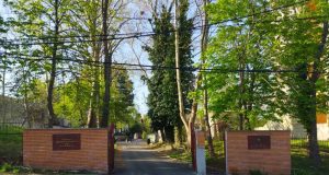 Simeze constănţene