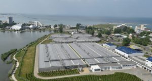 RAJA SA poate să dea gratuit fertilizator natural la tot judeţul Constanţa, dar fermierii nu vor moca