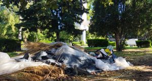 Urme ale primăriei în cultura constănţeană