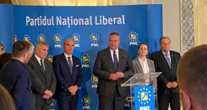 Ligia Deca bine ai venit, treci la rând! Sursa PNL Facebook