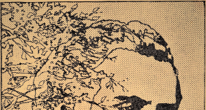 Testamentul neîmplinit Eminescu de Victor Vladimir Ciobanu