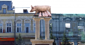 Cultură cu a lu’ Bulă Suina capitolina