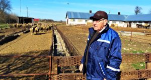 Ing.Tudor Anghelescu, decanul de vârstă al zootehniştilor dobrogeni, la 82 de ani în activitate Foto: Dan Mihăescu