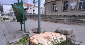 Medgidia sub drujbă și tranșee