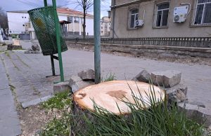 Medgidia sub drujbă și tranșee