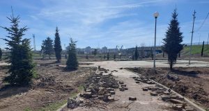 Primăria Medgidia – amendată de Garda de Mediu