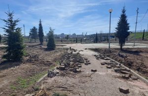 Primăria Medgidia – amendată de Garda de Mediu