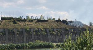 Peisaj cu „Stânjenei de Medgidia”, cucută și vrăbiuțe