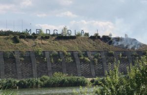 Peisaj cu „Stânjenei de Medgidia”, cucută și vrăbiuțe