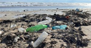 Constanţa conduce clasamentul celor mai murdare plaje de pe litoral Sursa: Mare Nostrum