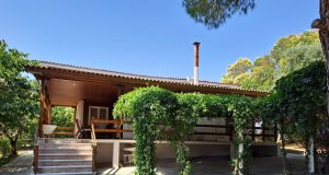 Vacanță în familie