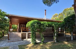 Vacanță în familie