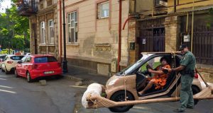 TOMISTONE – constănţeni din epoca de piatră