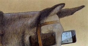 Adevăr sau provocare?