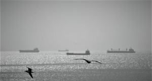 Ziua Marinei Române pe scurt Autor: Dan Mihăescu/Marină