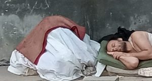 Constanţa: O haită de maidanezi-hominizi atacă locatarii din Tomis II