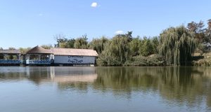 Zig Zaga Zuga Laga am fost și la ZAGA-ZAGA! Foto: Leonard Mocanu