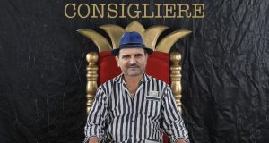 La Primăria Medgidia, Păun i-a făcut cuib Vrabiei Imagine prelucrată în scop ilustrativ