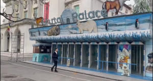 Vijelie, Uraganu și Tsunami, spectacol la malul mării