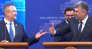 Fascinați de Dansul Cobrei