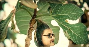 Maricel se smochinește! Imagine prelucrată în scop ilustrativ