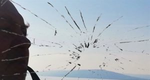 Cioburi dintr-un întreg ❶. Foto: Andreea MIHĂESCU