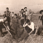 George Mihăescu 1957 (Album de familie)