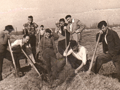 Horticolă George Mihăescu 1957 (Album de familie)