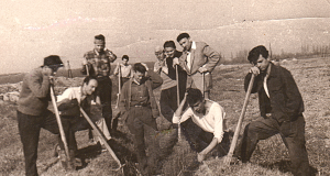 Horticolă George Mihăescu 1957 (Album de familie)