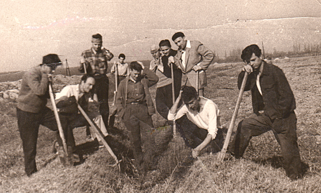 George Mihăescu 1957 (Album de familie)