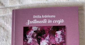 Poezie de vară: Sentimente în coajă/ Sentimientos en cascara