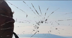 Cioburi dintr-un întreg ❹ Foto: Andreea MIHĂESCU