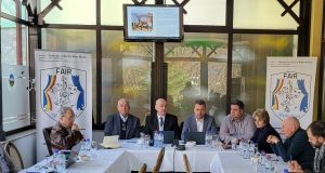 „Furia galbenă” și-a pus în cap toată floarea ce-a vestită a întregului Apus