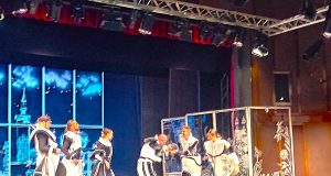 “Îmbârligătorul” Scapin te face de lovele și te scapă de belele Foto: Geta Frigioiu