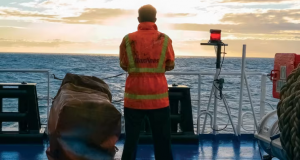 Sindromul Tulburării de Stres Post-Traumatic la marinari Sursa: nautilusint.org