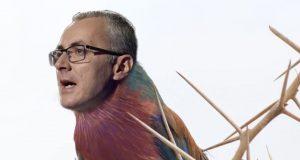 Suavul cântec de adio al „păsării-spîn” Imagine prelucrată în scop ilustrativ