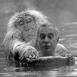 Imagine editată în scop ilustrativ