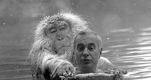 Cine a dat briciul la maimuță? Imagine editată în scop ilustrativ