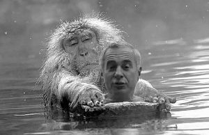 Cine a dat briciul la maimuță? Imagine editată în scop ilustrativ