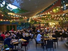 Sentinele pe Wall Street